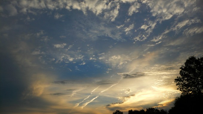 cf landscape P1050277