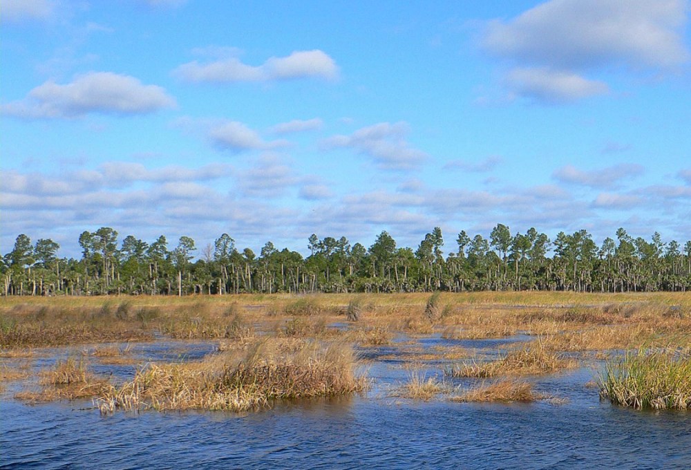 LakeWoodruffNWR_v6 full B_Page_124