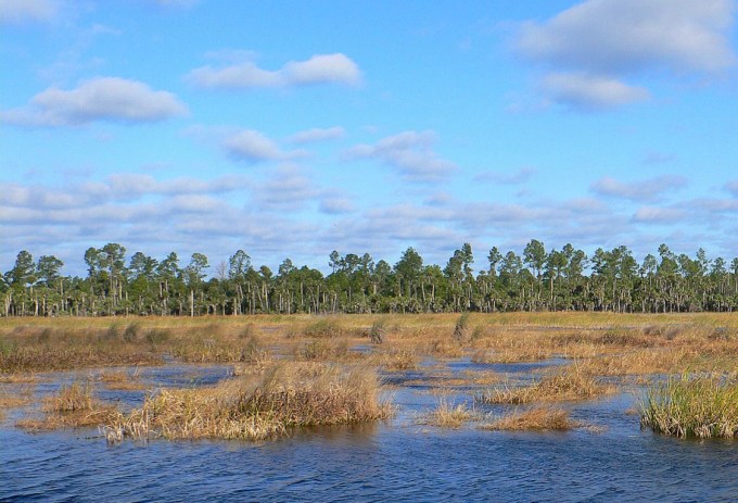 LakeWoodruffNWR_v6 full B_Page_124