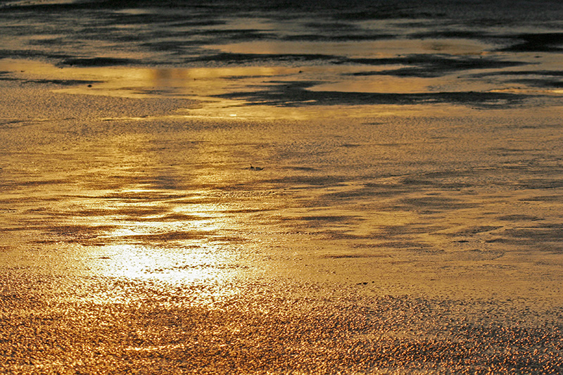 bwr ice subrise_MG_4097