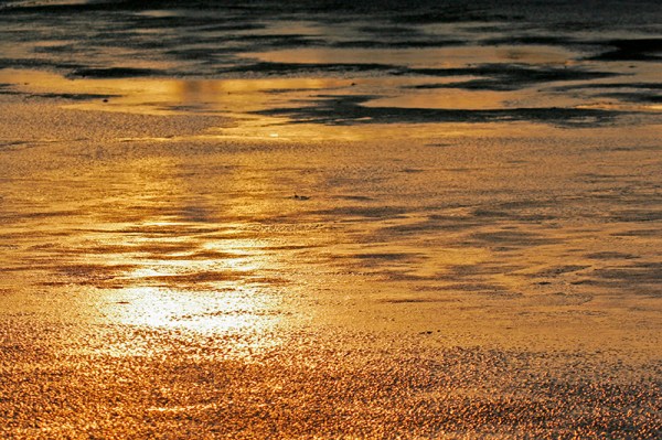 bwr ice subrise_MG_4097