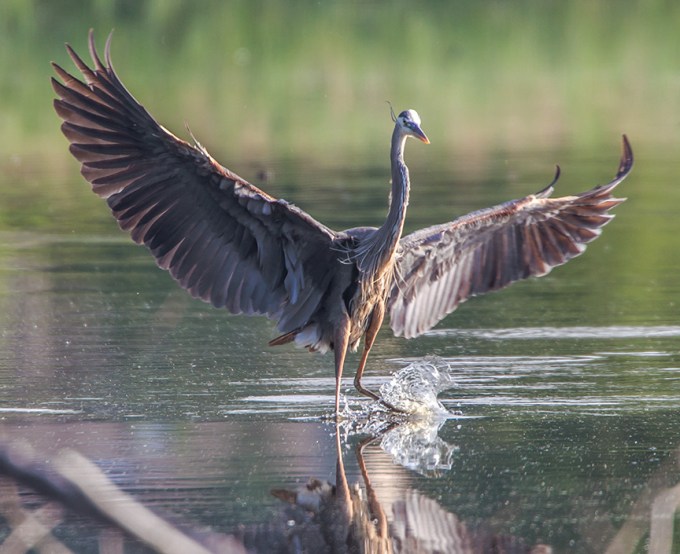 _43G0528 CF GBH Landing v4a