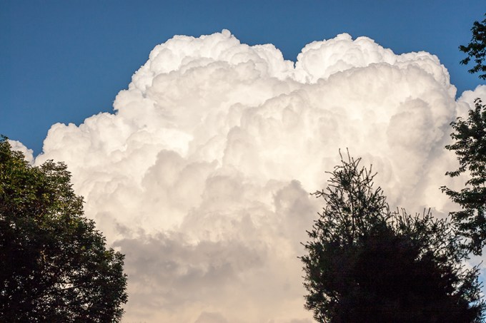 _80I2030 yard cloud v1