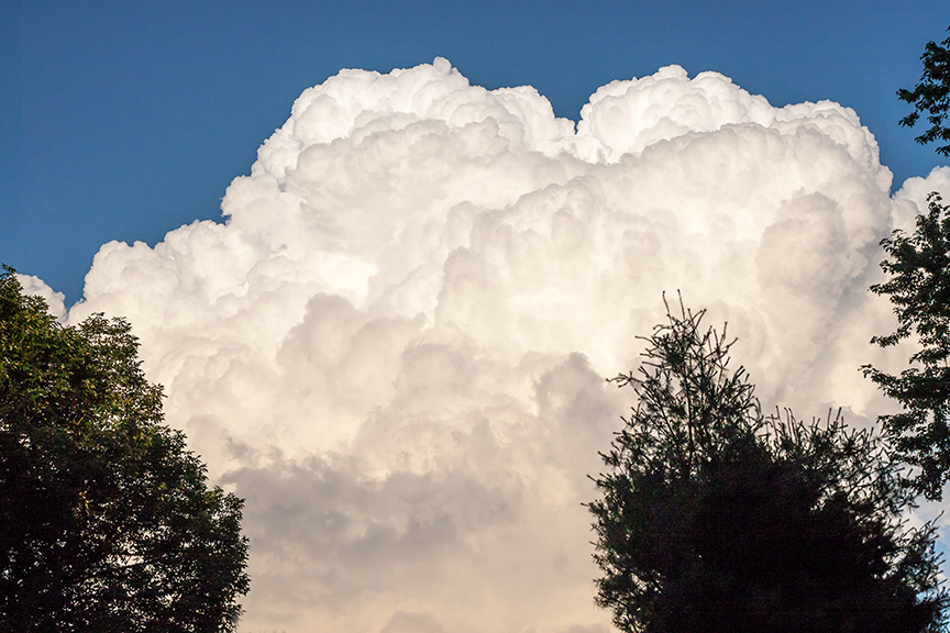 _80I2030 yard cloud v1