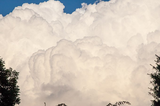 _80I2139 yard cloud v1