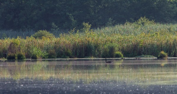 _43G4934 goose lake early am v2