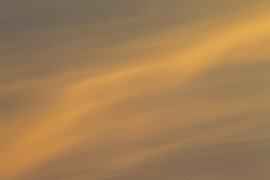 _43G2396 brig egret sunrise v1