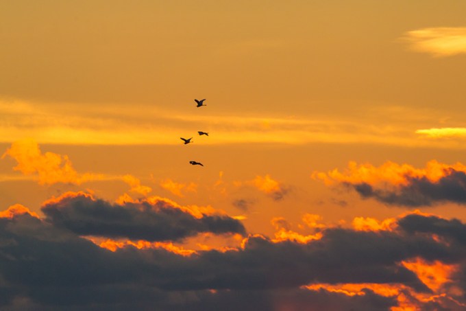 _43G2414 brig HiFlight sunrise v1