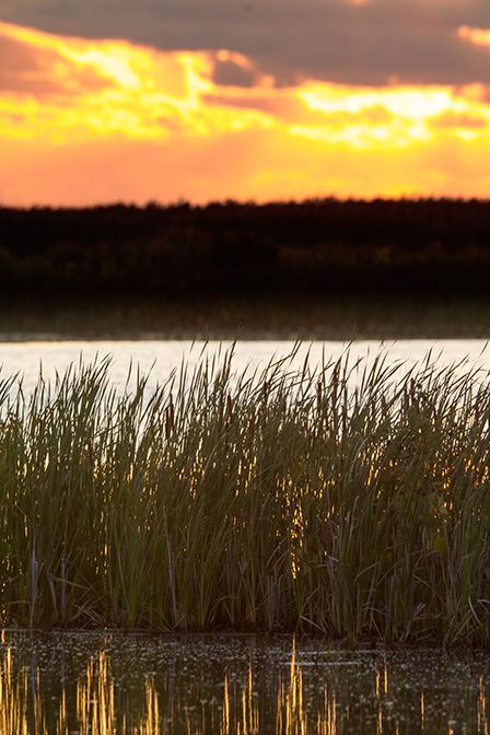 _43G2535-2 brig sunrise v2