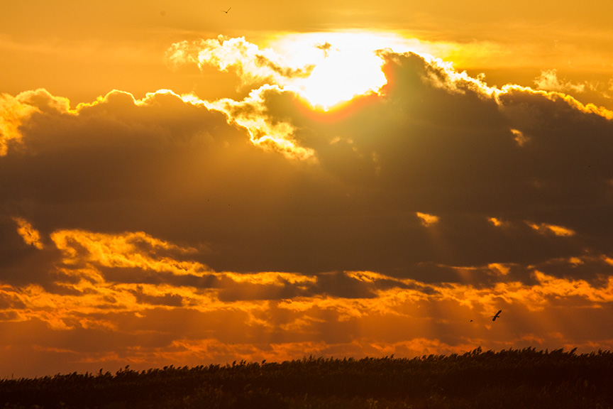 _43G2633 brig sunrise v1