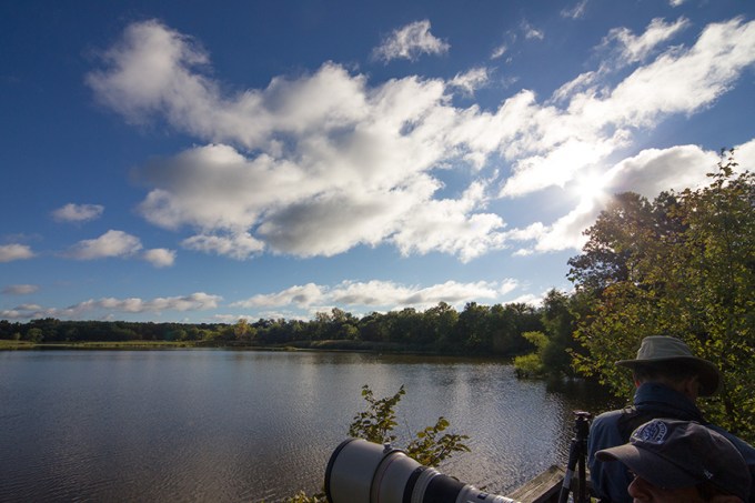 _43G1973 cf sunrise v1