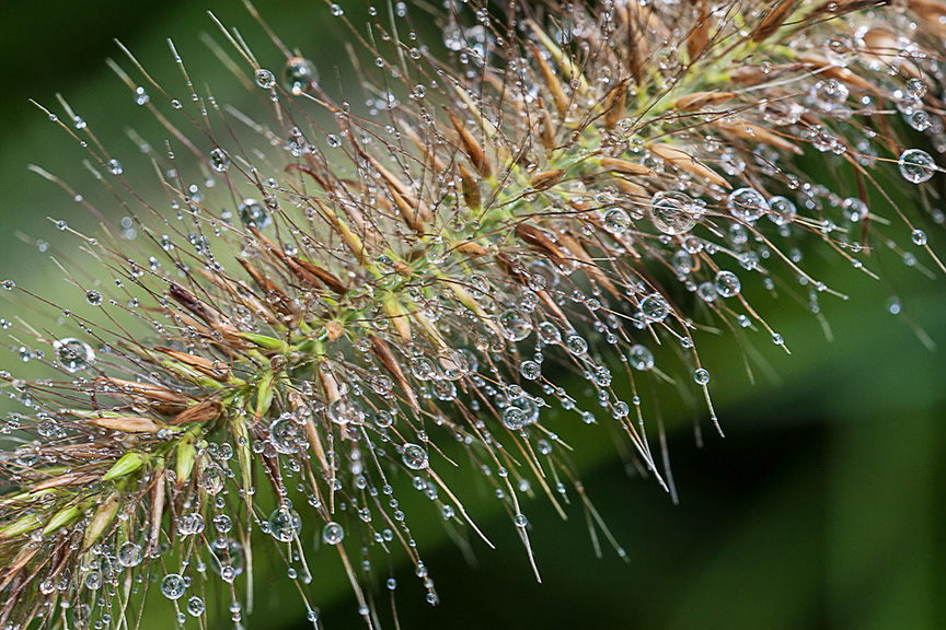 _80I3046 gw water drops v2