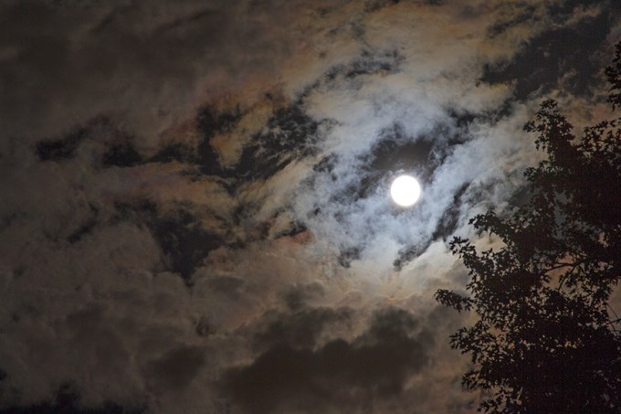 _MG_1873by the light of Super moon sept