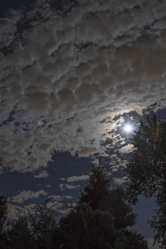 _MG_1880 by lt of Super moon sept