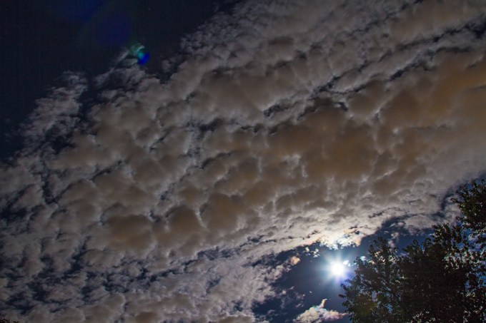 _MG_1885 by lt of Super moon sept