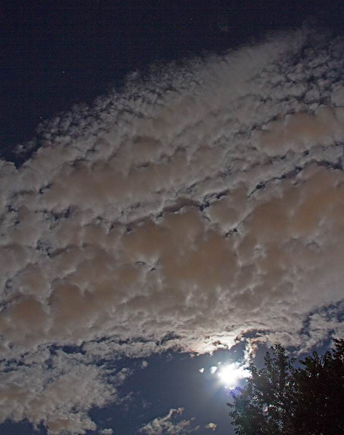 _MG_1889 by light super moon Sept