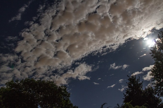 _MG_1903 by lt super moon v1