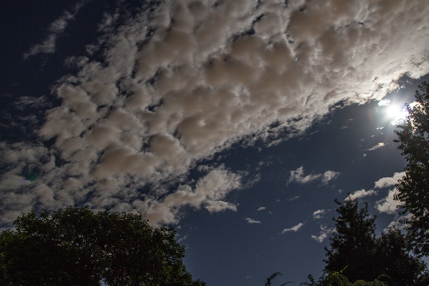 _MG_1903 by lt super moon v1