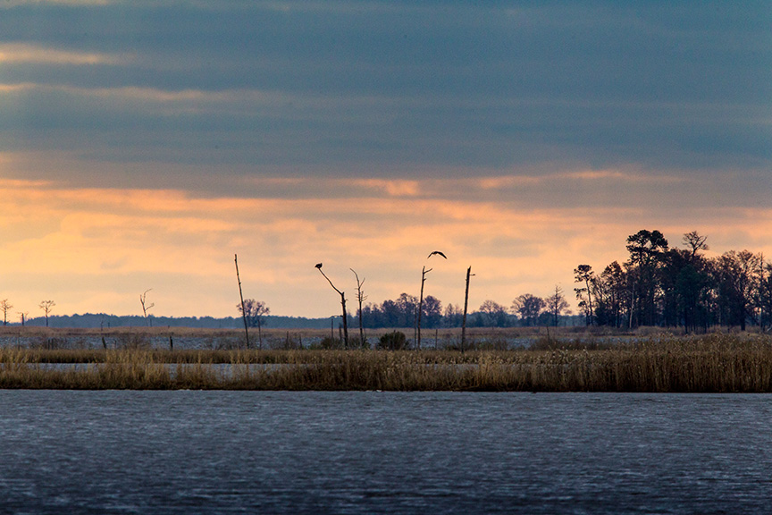 _43G0557 bwr lndscape v2