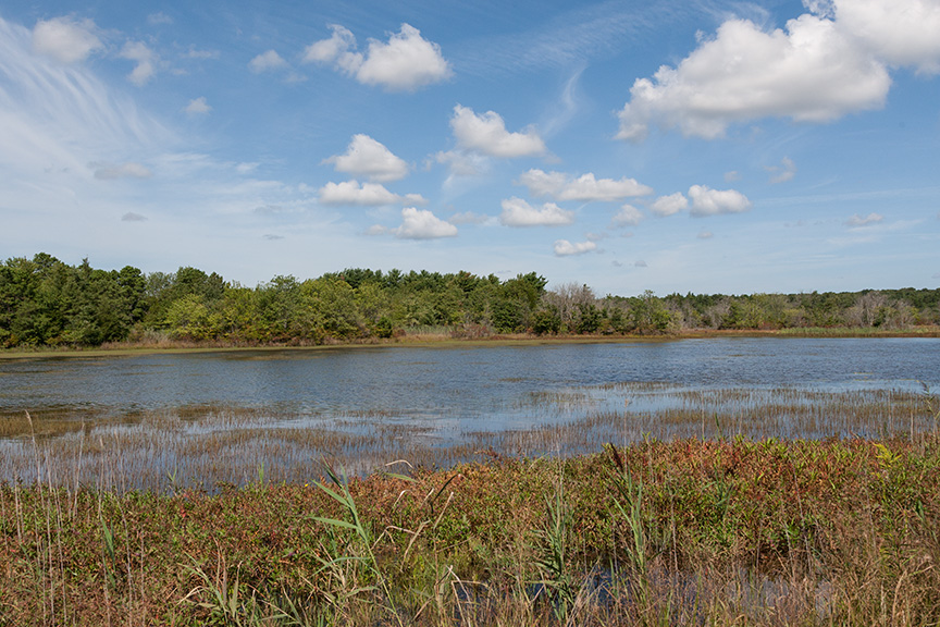 _80I2736 brig lndscp v1