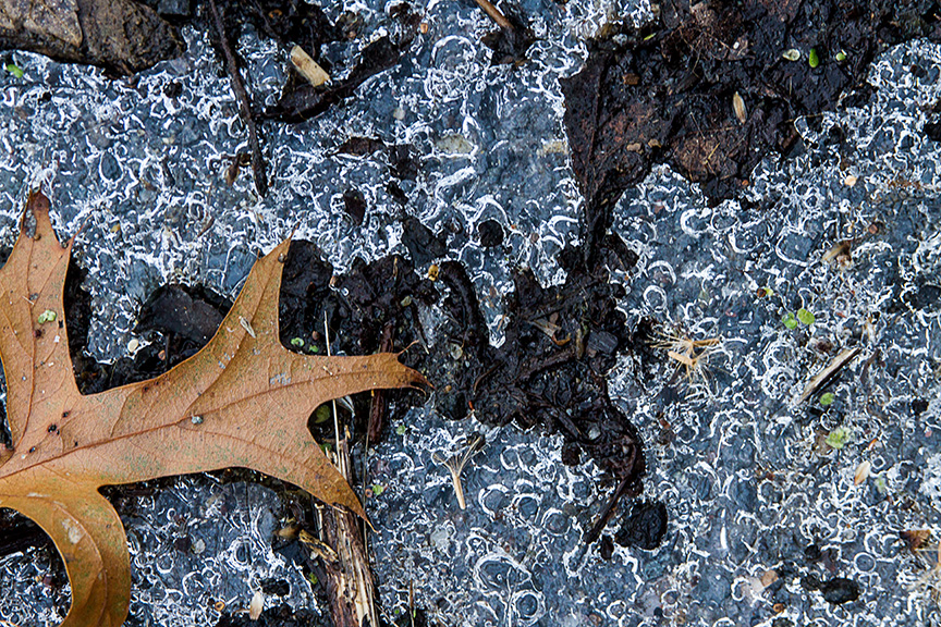 cf ice patterns v1 hp_MG_4500