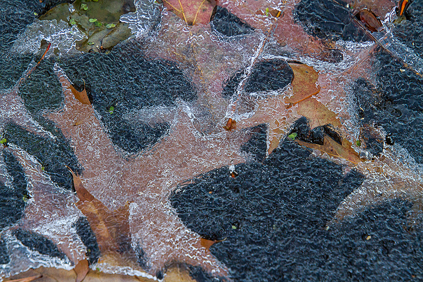 cf ice patterns v2 nik_MG_4392