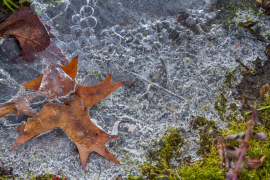 cf ice patterns v2_MG_4355