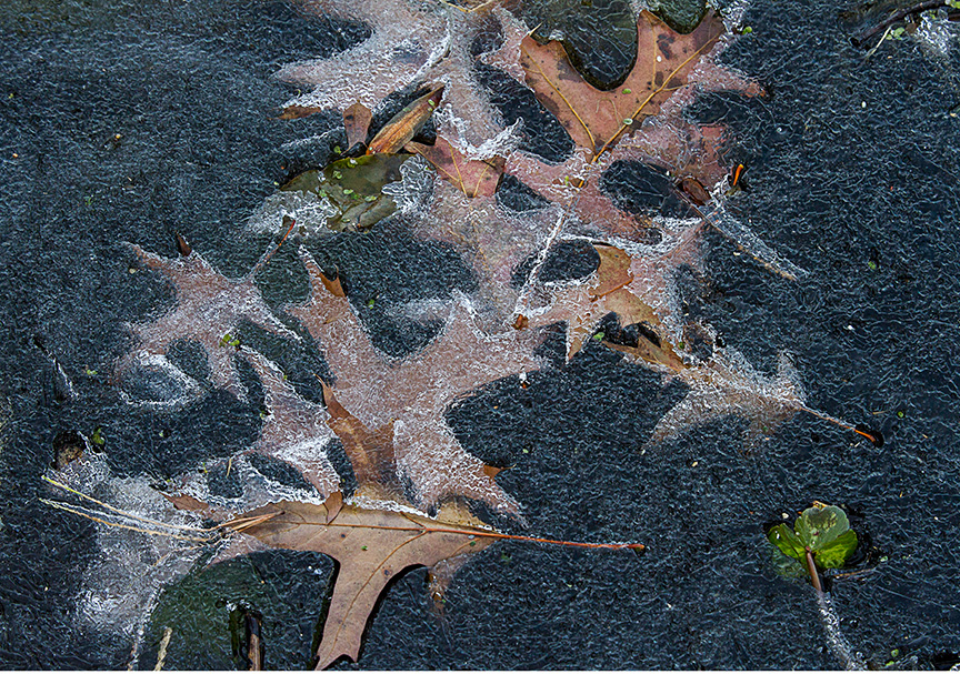 cf ice patterns v3_MG_4384 hp