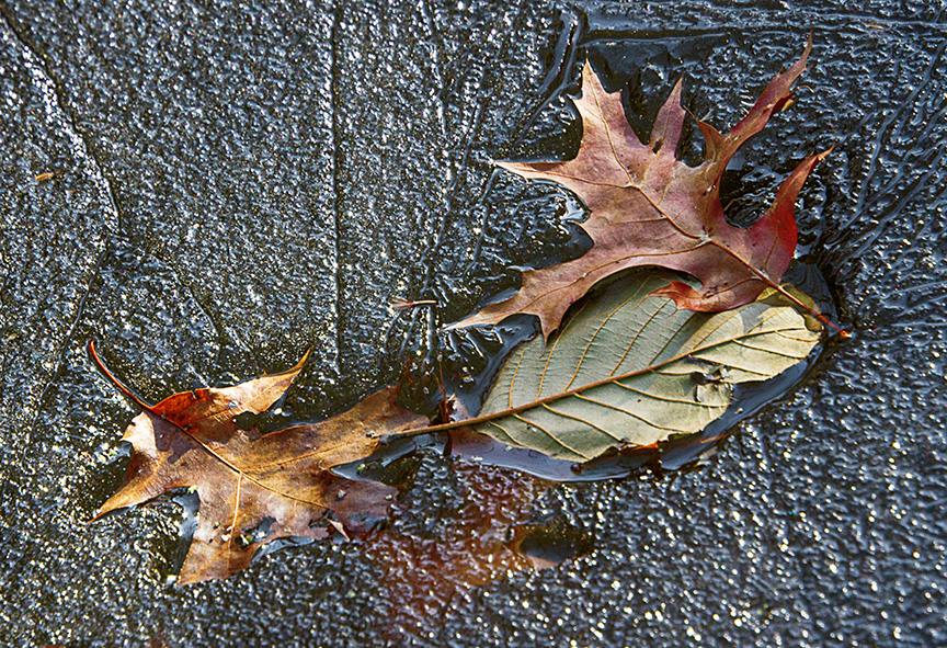 cf ice patterns v3_MG_4546