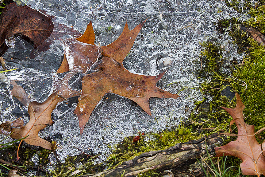 cf ice v3 hp_MG_4327