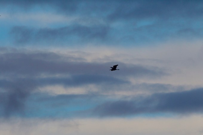 CF GBH hiFlight_43G0158