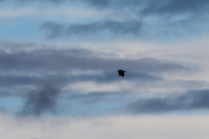 GBH CF HiFlight v1_43G0160