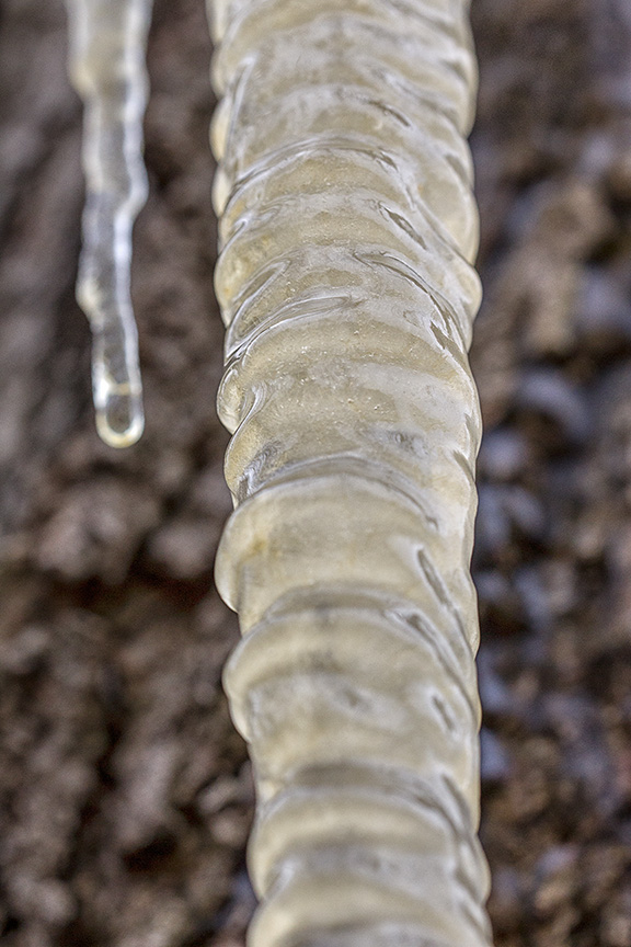 sap sicle yard v1_43G6602