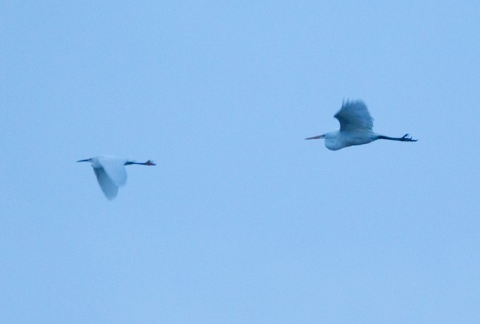 brig am flyout v1_43G7594