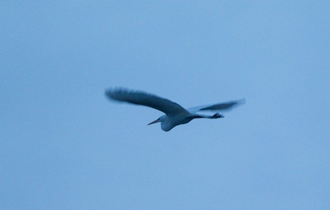 brig early am flyout v1_43G7573