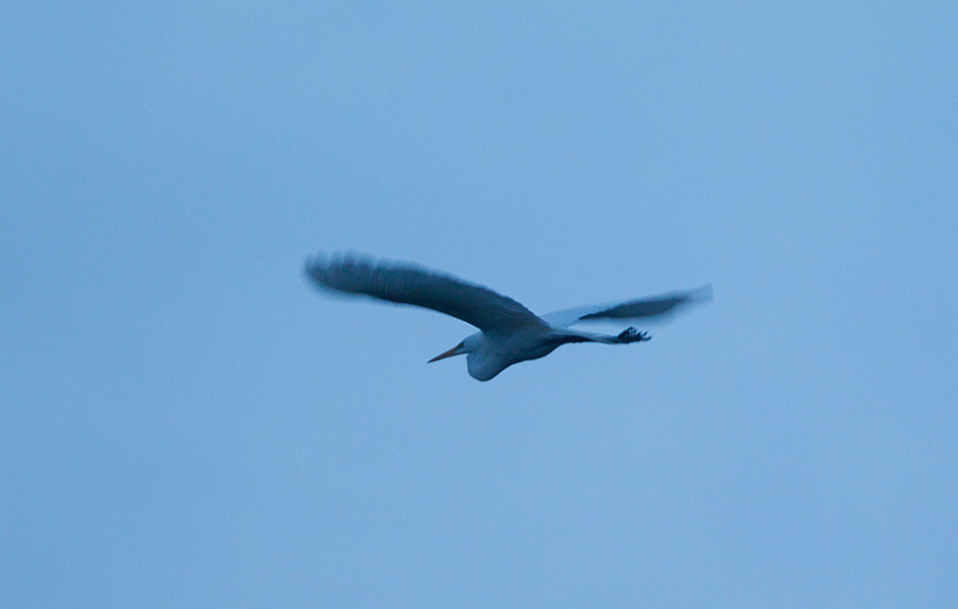 brig early am flyout v1_43G7573