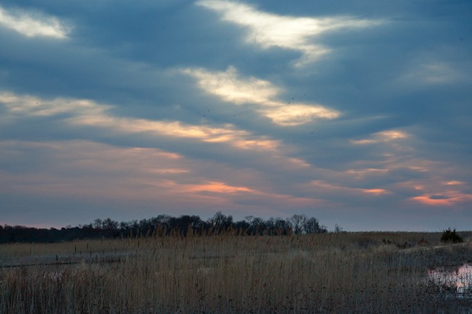 brig lndscp v1_80I4070