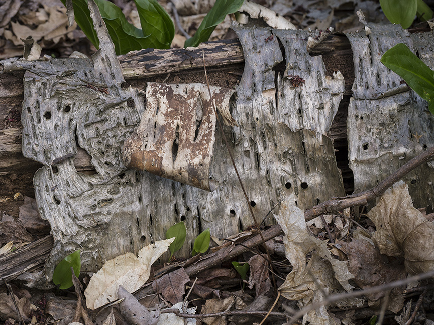 Bark v1 McFaul 2015_1290945