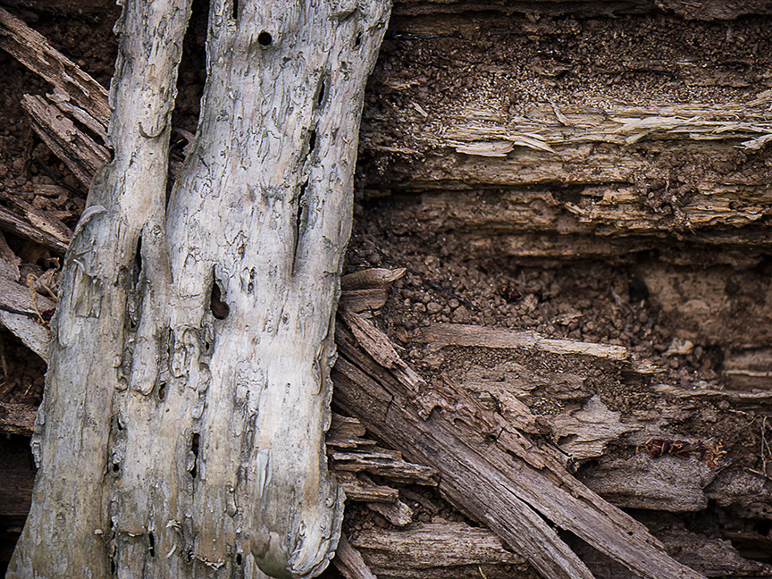 Bark v1 McFaul 2015_1290948