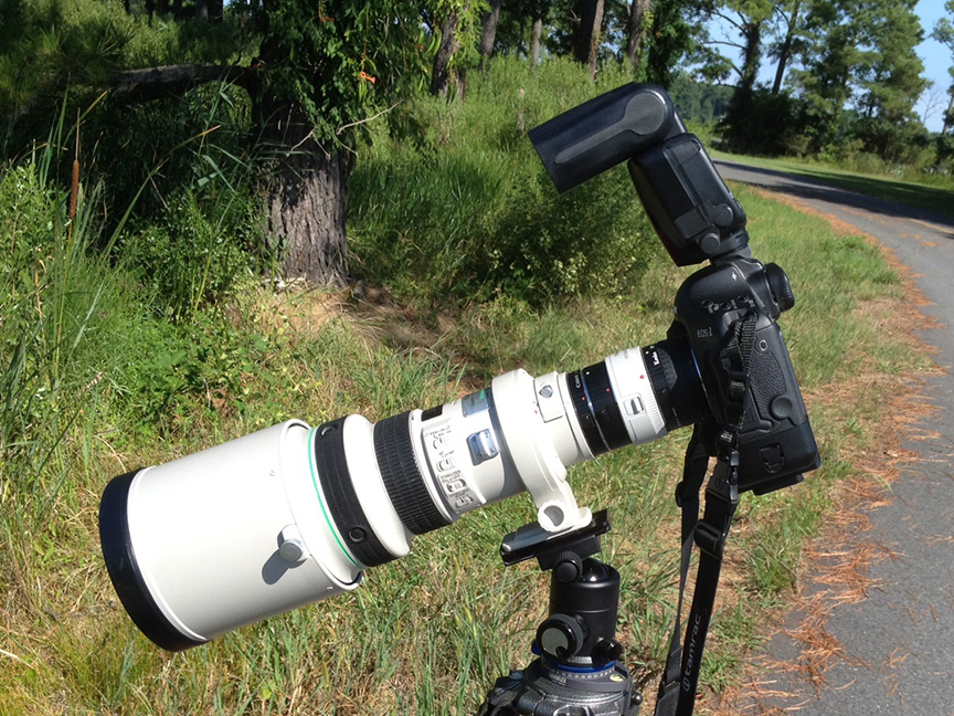 Canon closeup IMG_1245