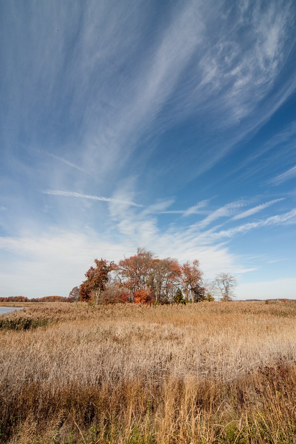 bh landscap v1 2015_80I8062