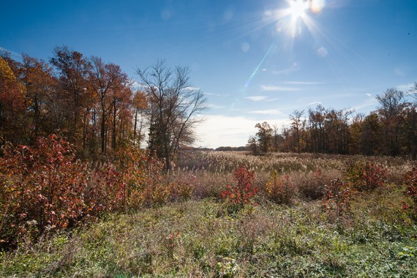 BH Landscap v1 2015_80I8575