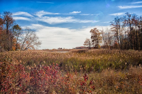 BH Landscap v1 2015_80I8592