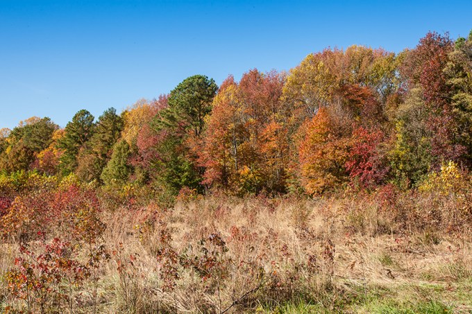 BH Landscap v1 2015_80I8829