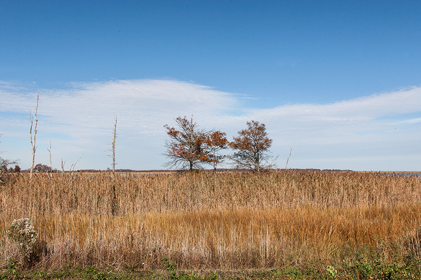 BH Landscap v1 2015_80I8912