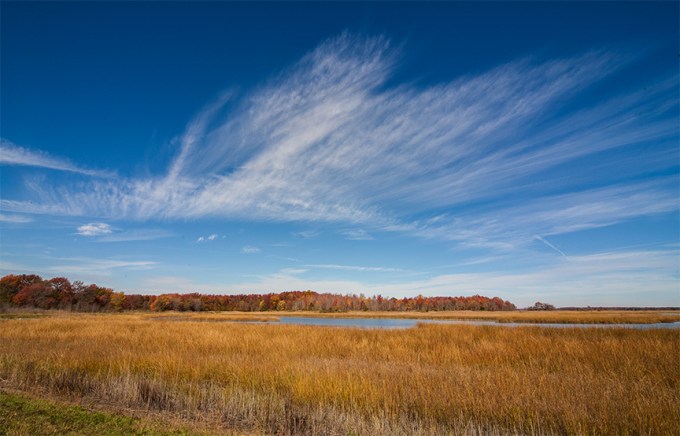 BH Landscap v1 80I7783 v1