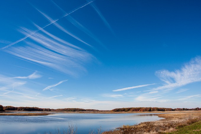 BH Landscap v_80I7485