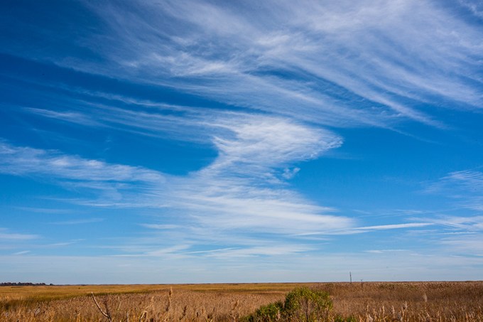 bh landscape 2015 v2_80I8258