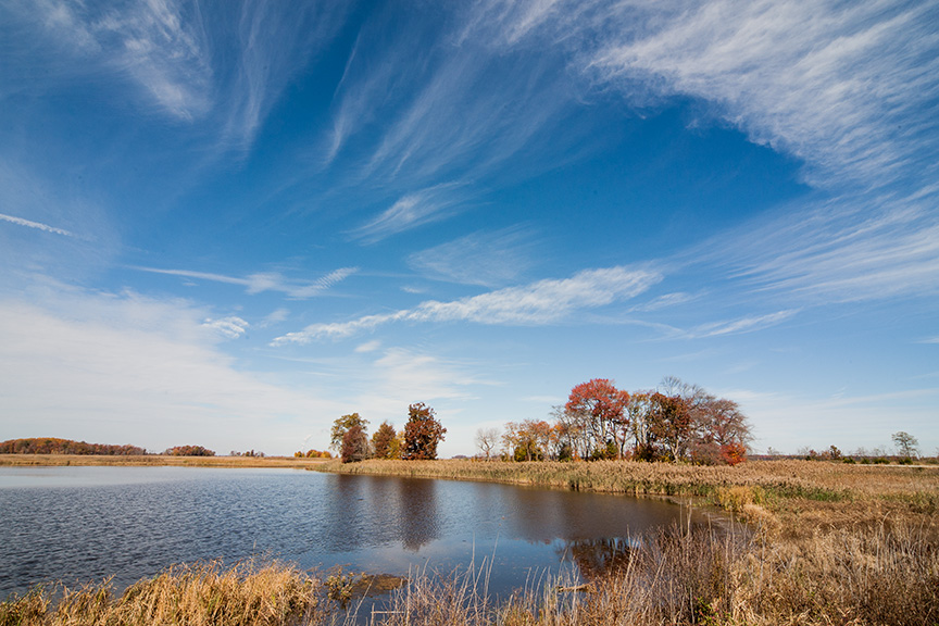 BH_Landscap_v1_80I7964