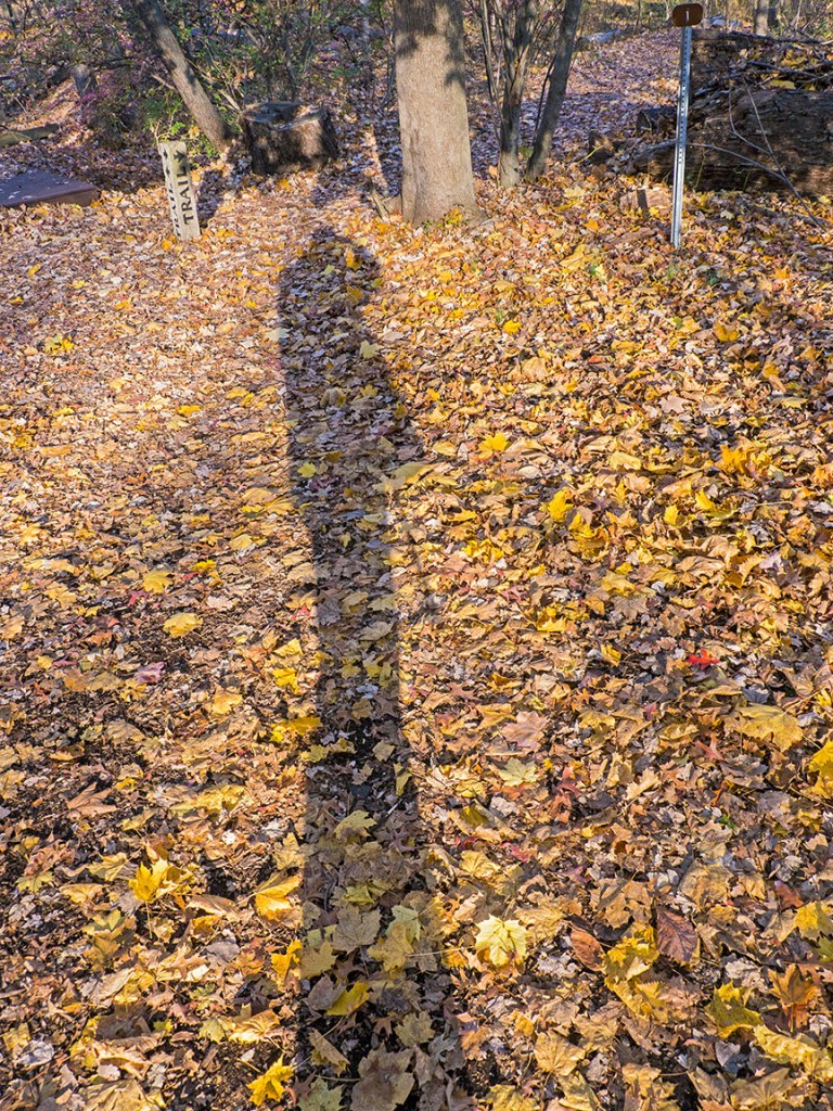 cf self portrait v1_1350265